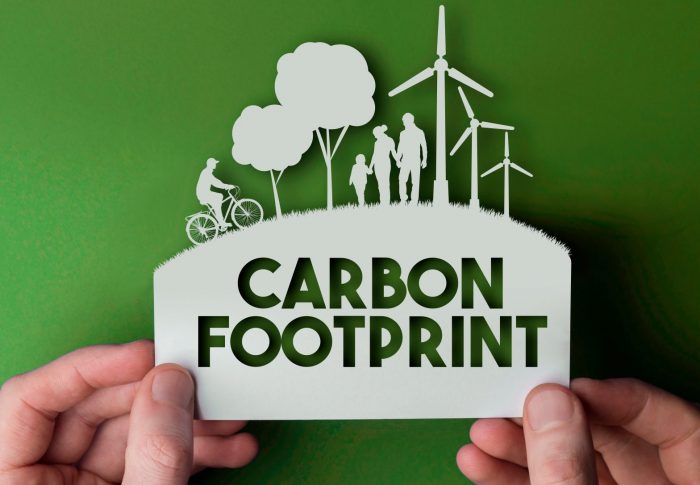 How to Reduce Your Carbon Footprint
