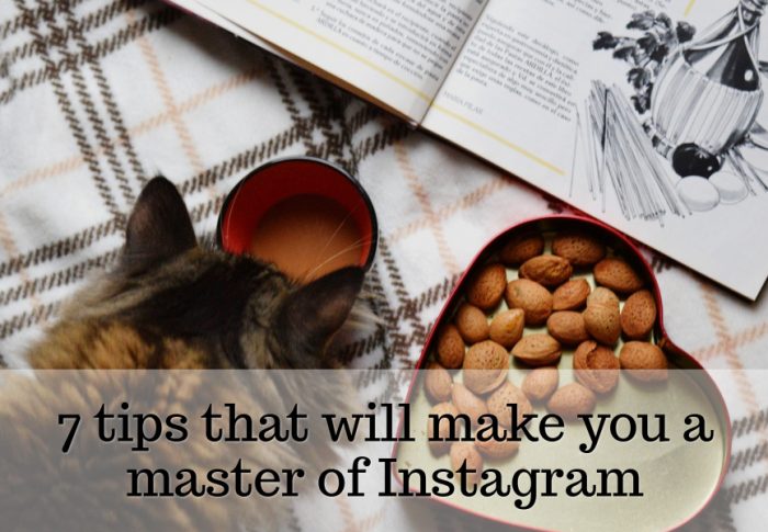 7 tips that will make you a master of Instagram